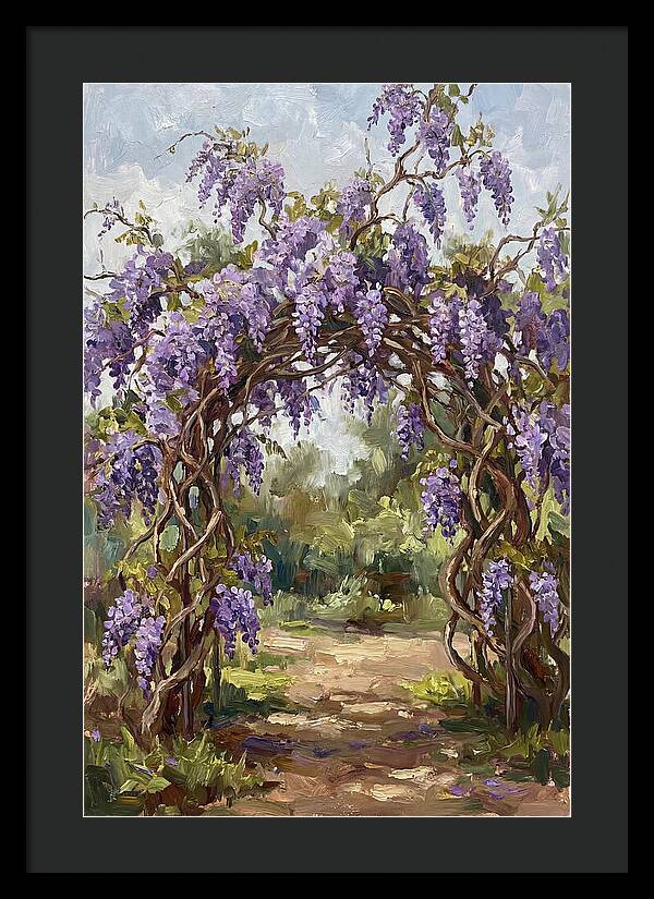 Wisteria Blossoms Overhead