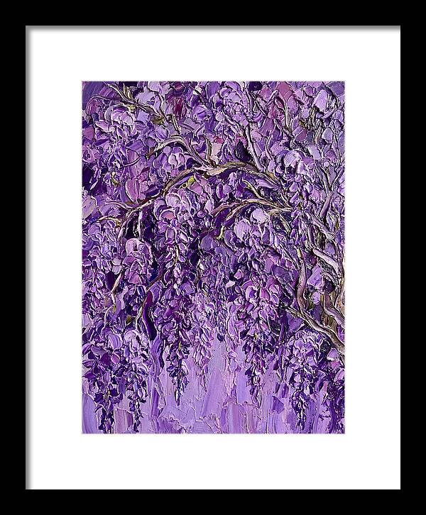 Wisteria Canopy In Full Bloom