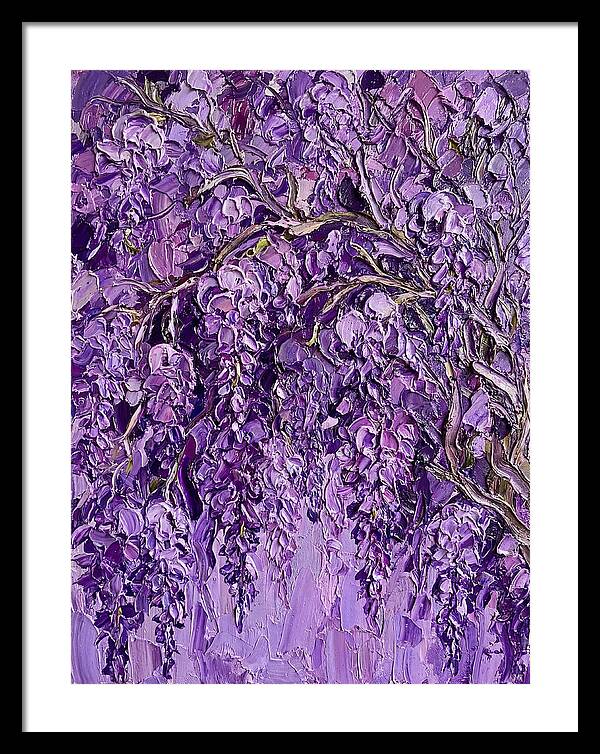 Wisteria Canopy In Full Bloom