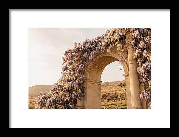 Wisteria Cascading Over Archway