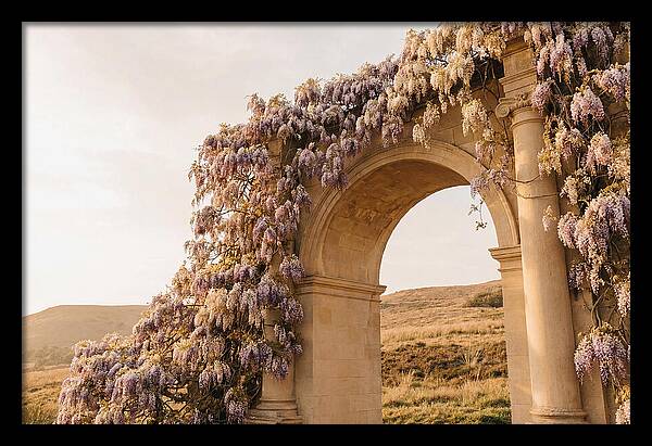Wisteria Cascading Over Archway