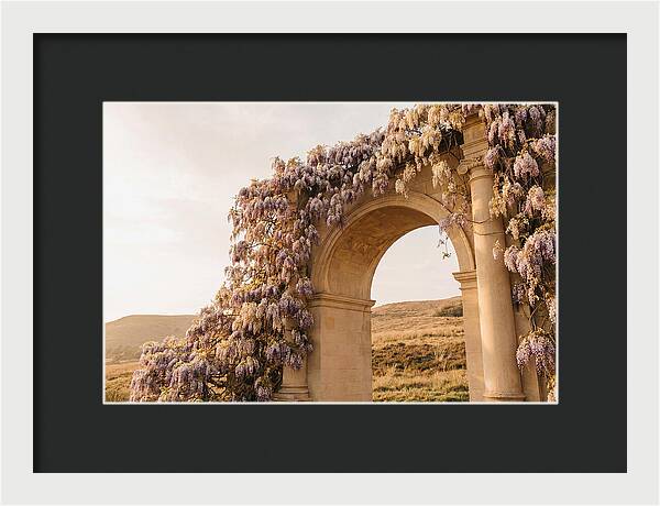 Wisteria Cascading Over Archway