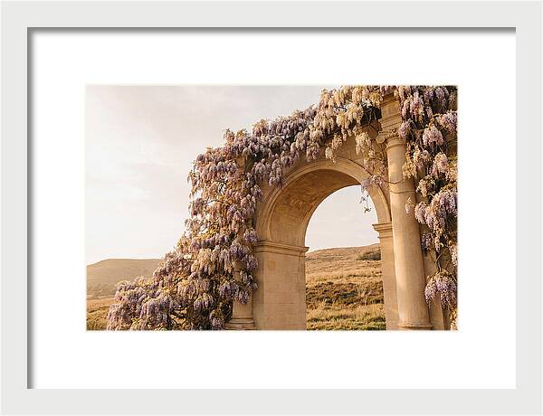 Wisteria Cascading Over Archway