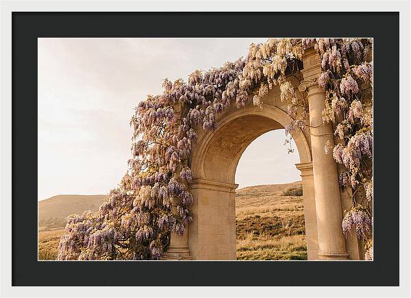 Wisteria Cascading Over Archway