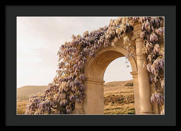 Wisteria Cascading Over Archway
