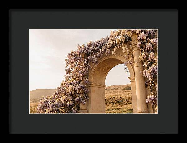 Wisteria Cascading Over Archway
