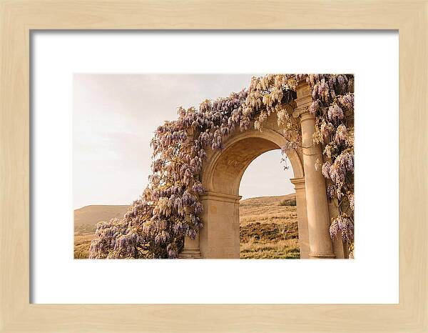 Wisteria Cascading Over Archway