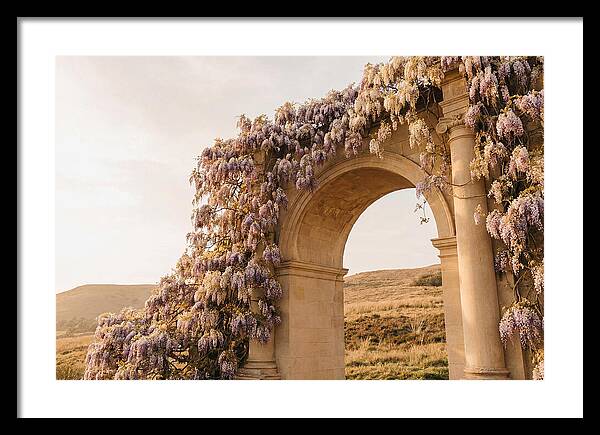 Wisteria Cascading Over Archway