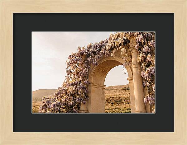Wisteria Cascading Over Archway