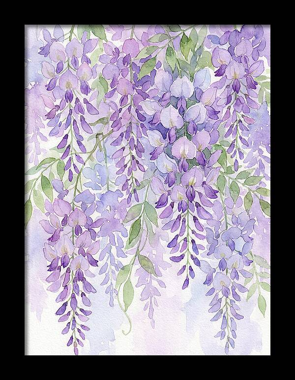 Wisteria Dreams In Bloom