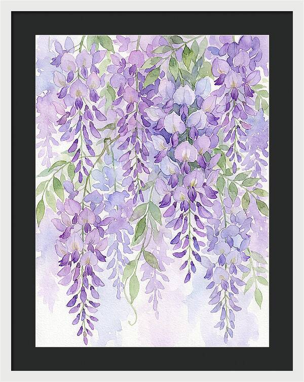 Wisteria Dreams In Bloom