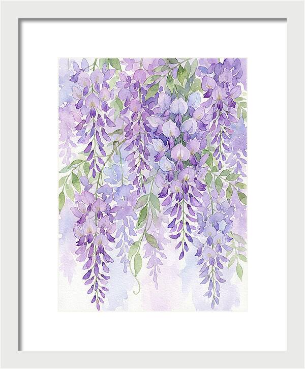 Wisteria Dreams In Bloom
