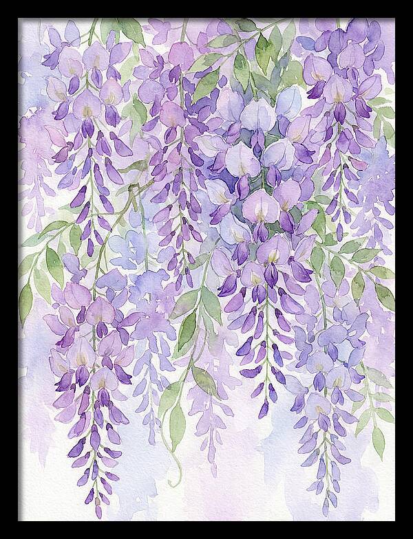 Wisteria Dreams In Bloom