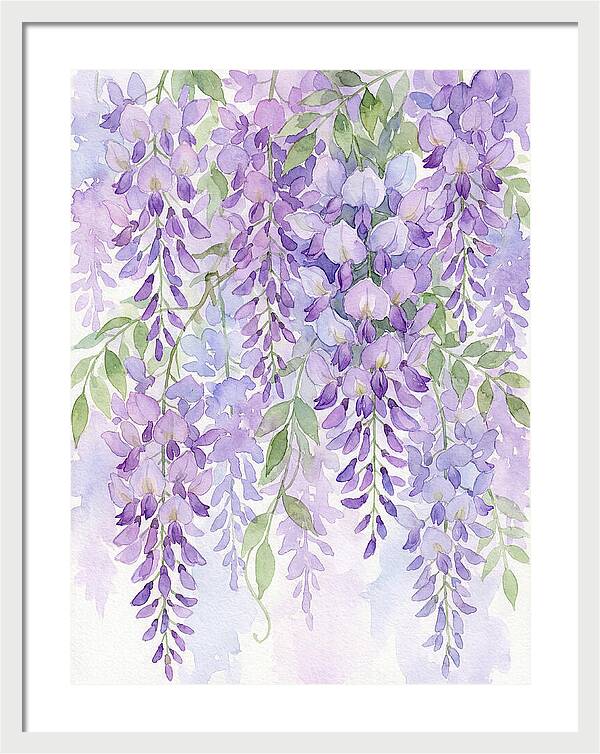 Wisteria Dreams In Bloom