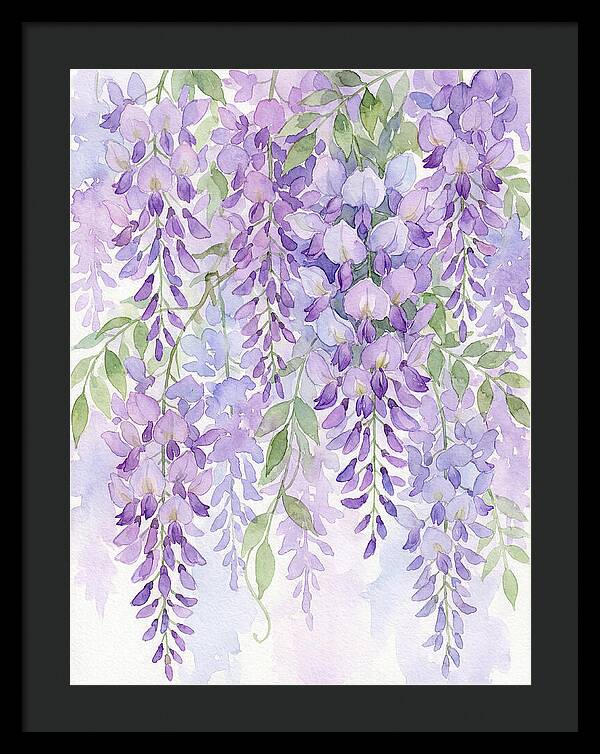 Wisteria Dreams In Bloom