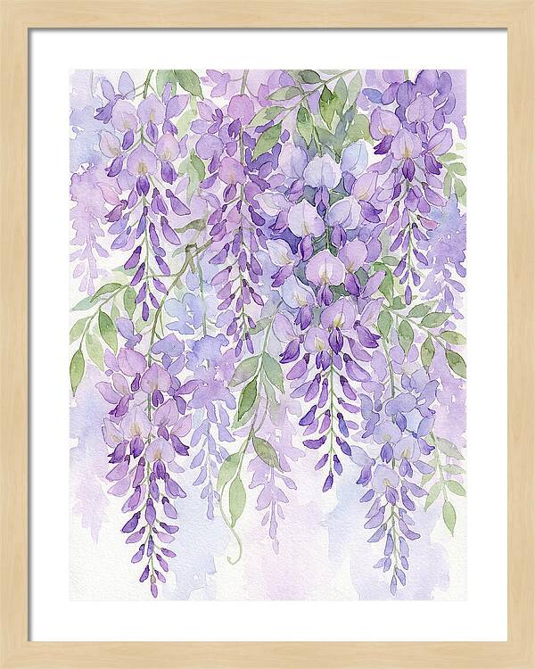 Wisteria Dreams In Bloom