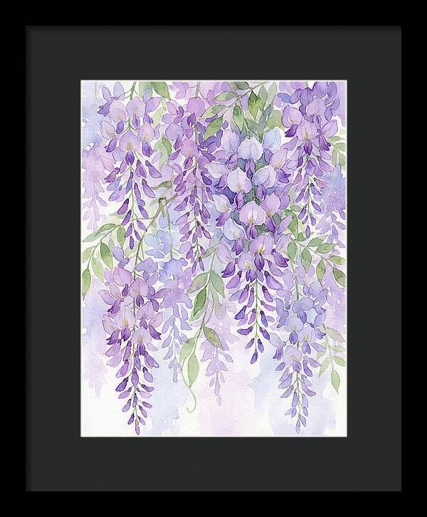 Wisteria Dreams In Bloom