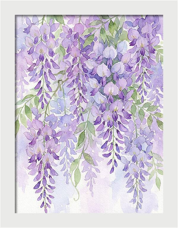 Wisteria Dreams In Bloom