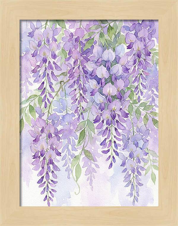 Wisteria Dreams In Bloom