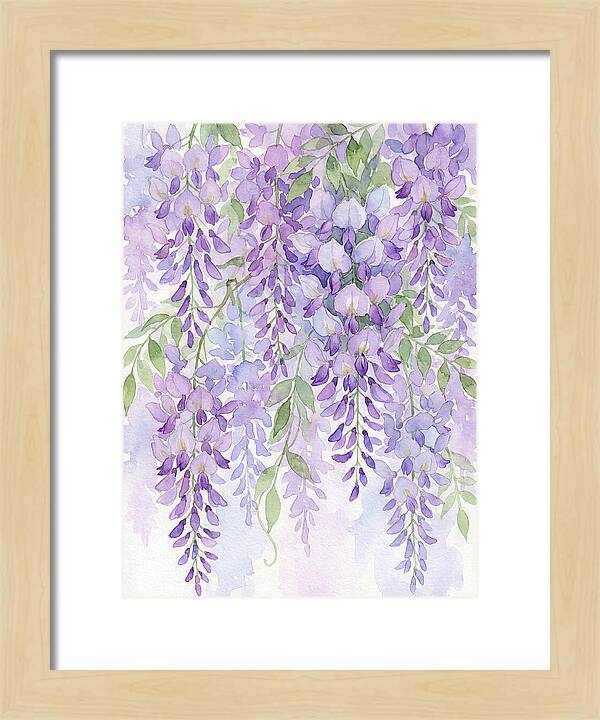 Wisteria Dreams In Bloom