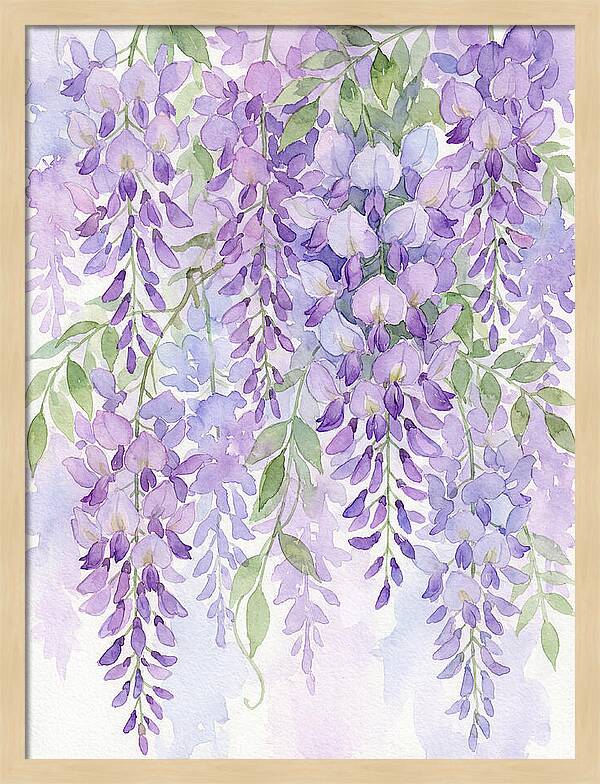 Wisteria Dreams In Bloom
