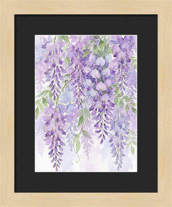 Wisteria Dreams In Bloom
