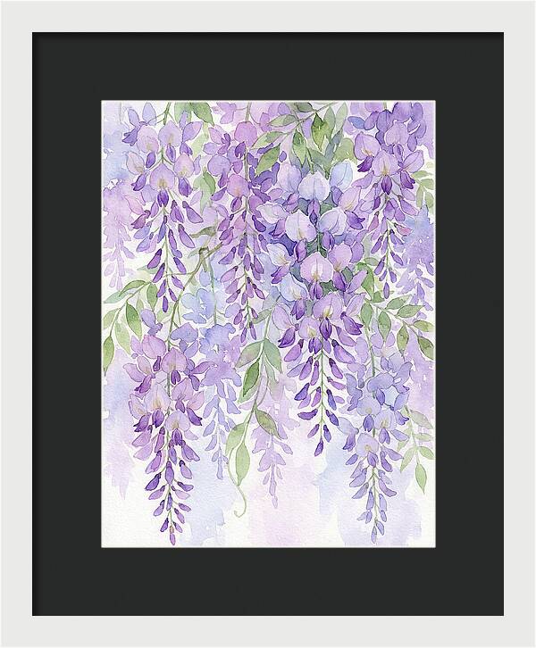 Wisteria Dreams In Bloom