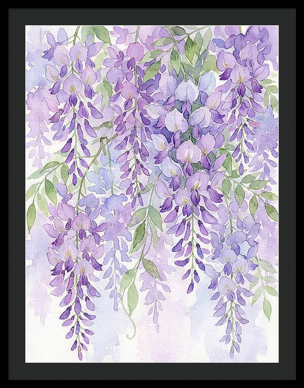 Wisteria Dreams In Bloom