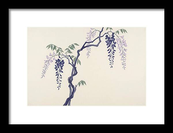 Wisteria Dreams Unfolding