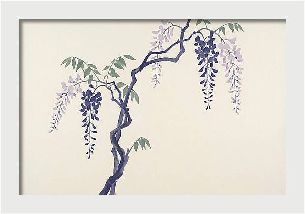 Wisteria Dreams Unfolding