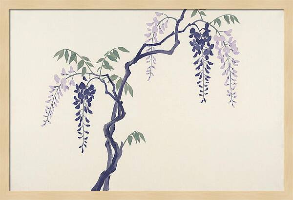 Wisteria Dreams Unfolding