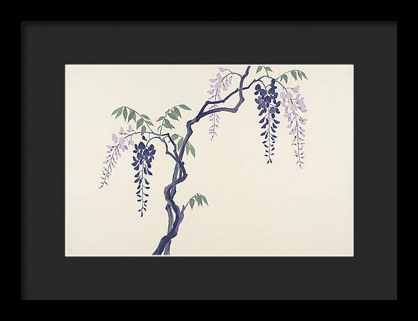 Wisteria Dreams Unfolding
