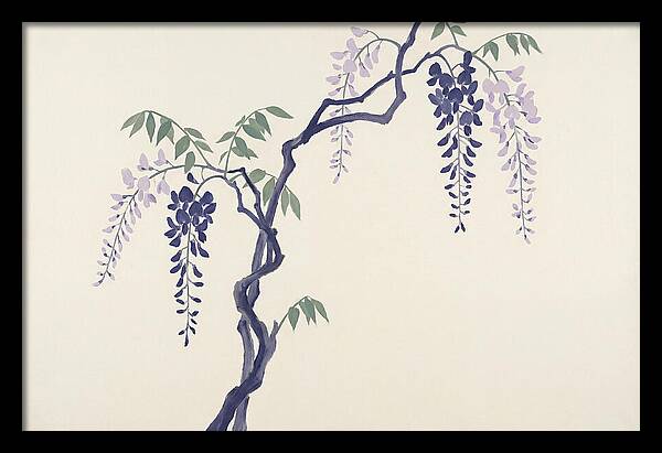 Wisteria Dreams Unfolding