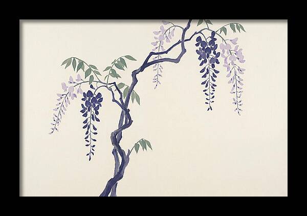 Wisteria Dreams Unfolding