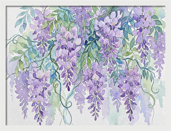 Wisteria Dreamscape Serenity