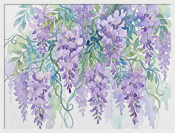 Wisteria Dreamscape Serenity