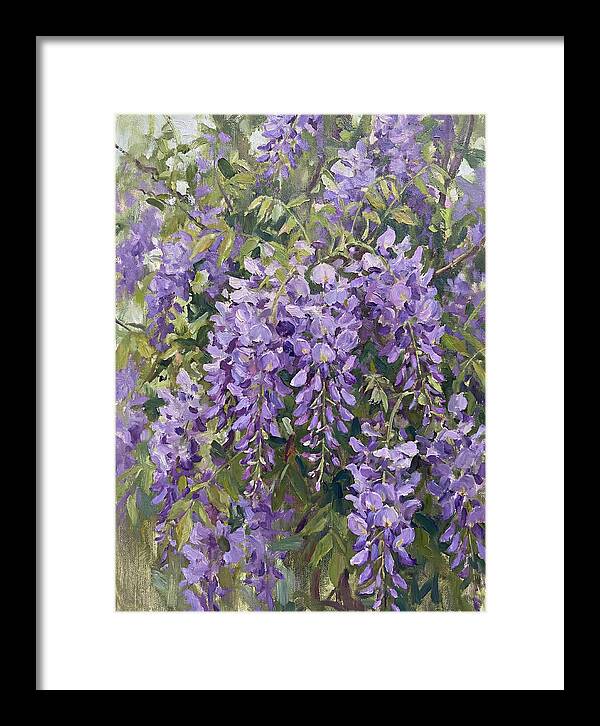 Wisteria In Bloom