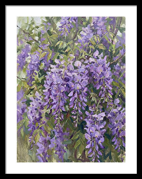 Wisteria In Bloom