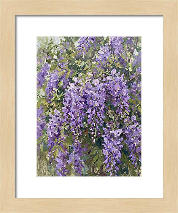 Wisteria In Bloom