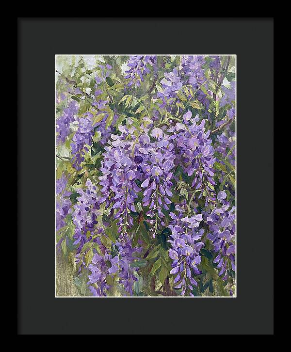 Wisteria In Bloom