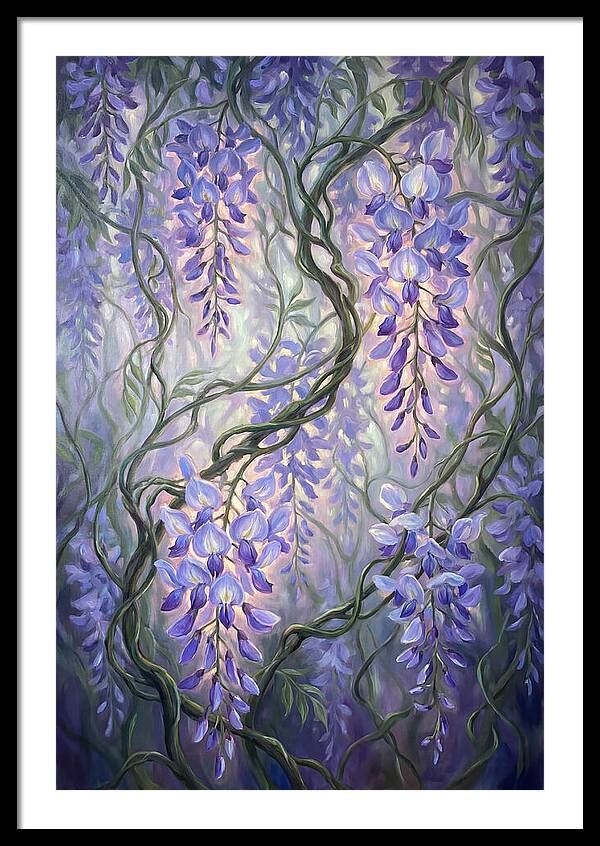 Wisteria Vines