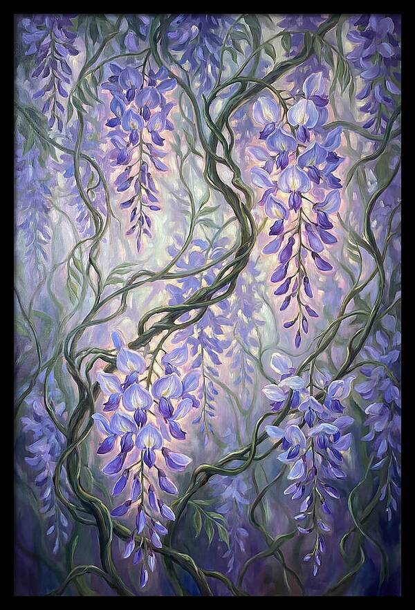 Wisteria Vines