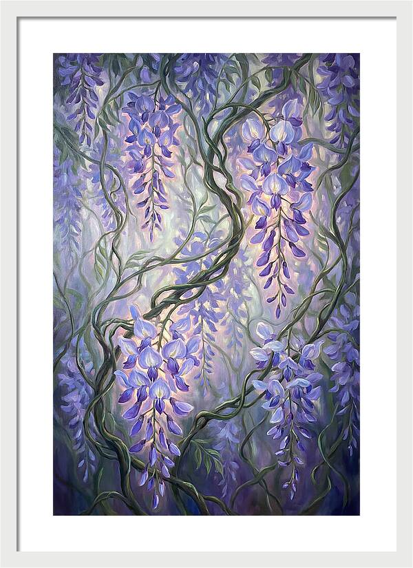 Wisteria Vines