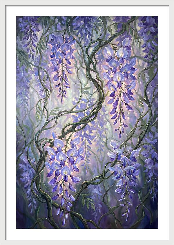 Wisteria Vines