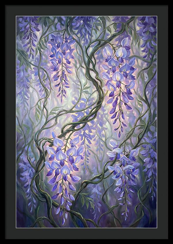 Wisteria Vines
