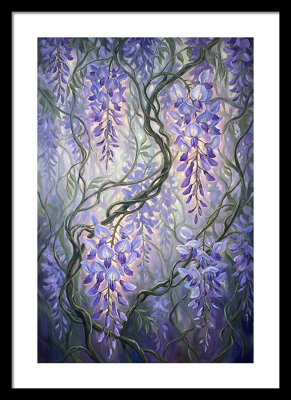 Wisteria Vines