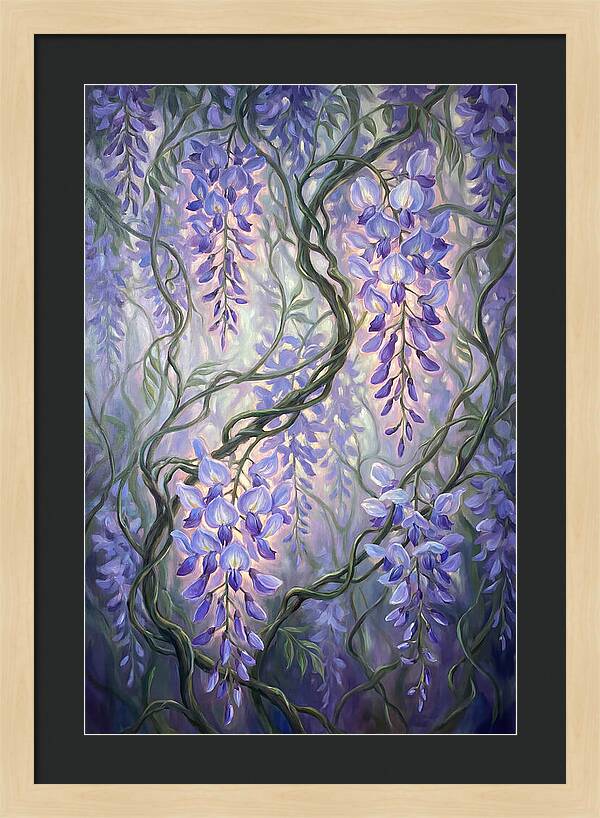 Wisteria Vines