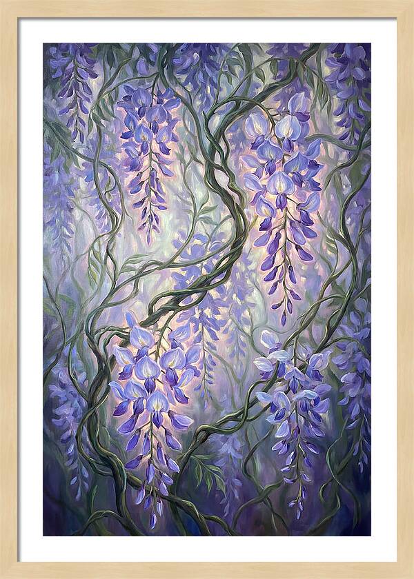 Wisteria Vines