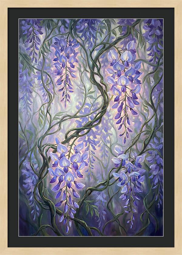 Wisteria Vines
