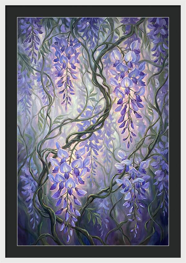 Wisteria Vines
